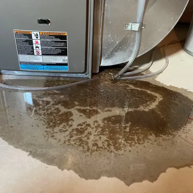 Appliance Leak Cleanup in Brockport, NY